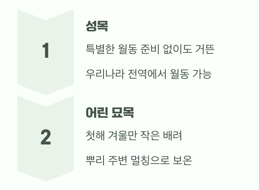 추운 겨울도 거뜬하게, '월동'