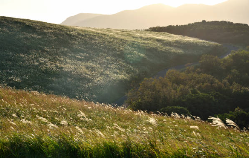 양간지풍 양강지풍 정의와 어원, 발생 원인, 역사적 기록, 기후 변화 영향, 속담, 문화적 의미.
