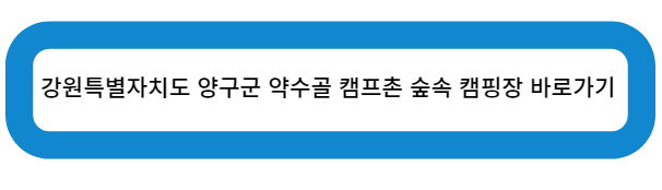 강원특별자치도 양구군 약수골 캠프촌 숲속 캠핑장 바로가기
