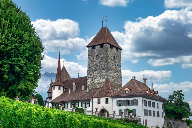 스위스 슈피츠 성