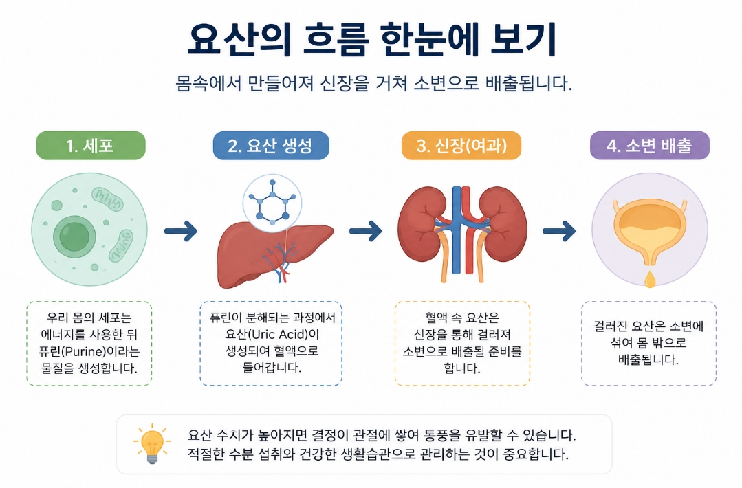 요산의 흐름