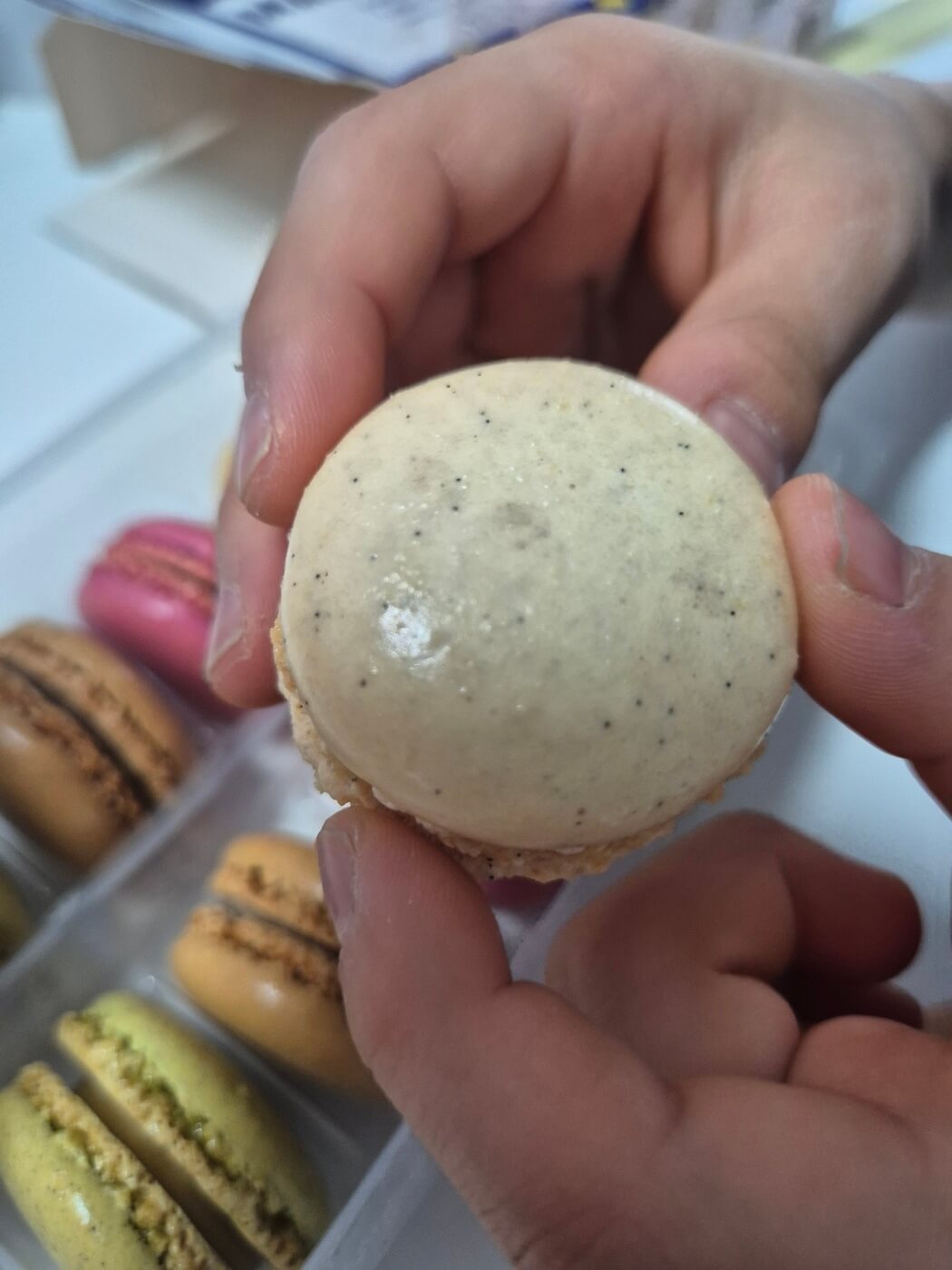 파스키에 마카롱