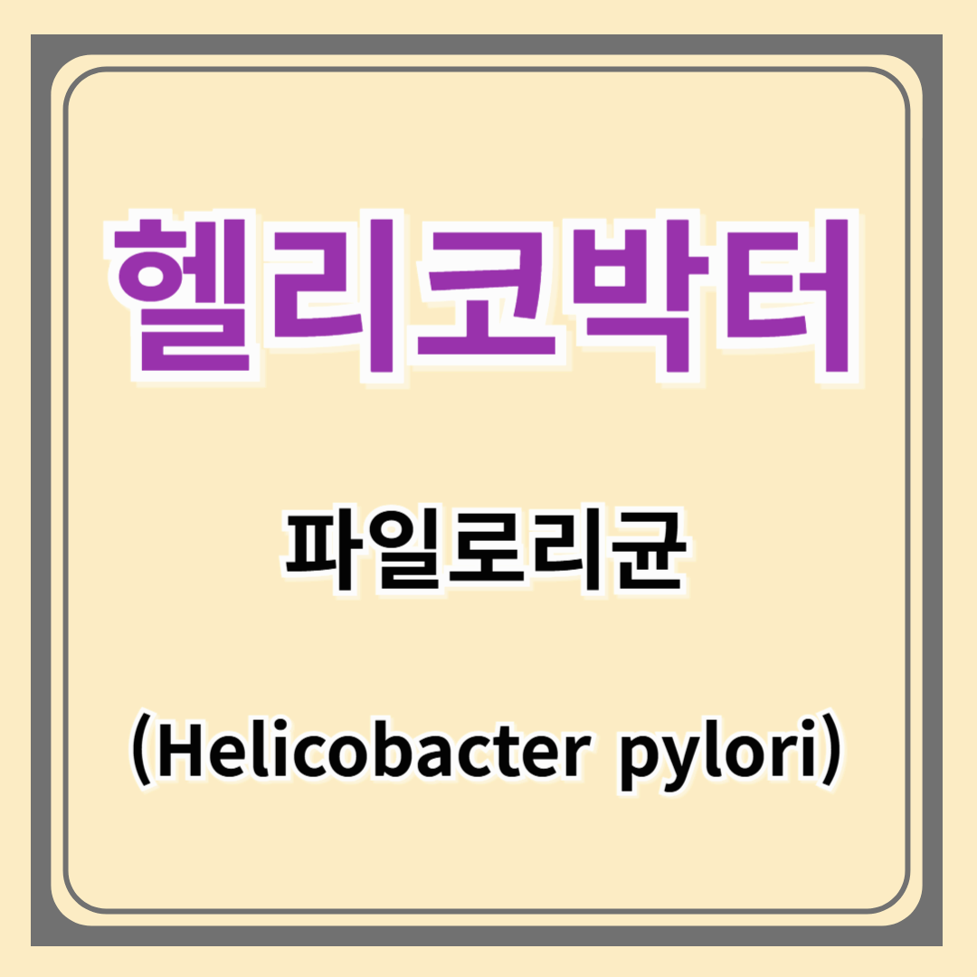 헬리코박터균 증상 초기 신호