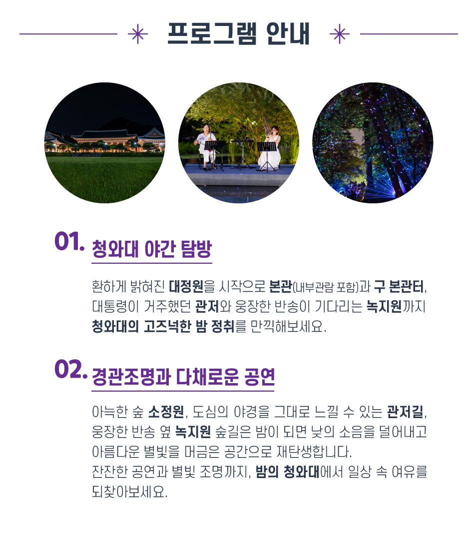 청와대 야간 개장