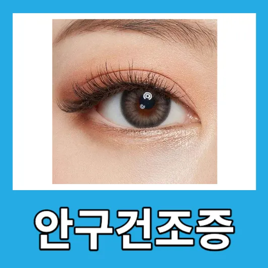 봄철 직장인 안구건조증 원인 증상 치료방법 인공눈물 눈물약