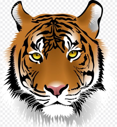 2026년 병오년 신년운세 무료로 보는법