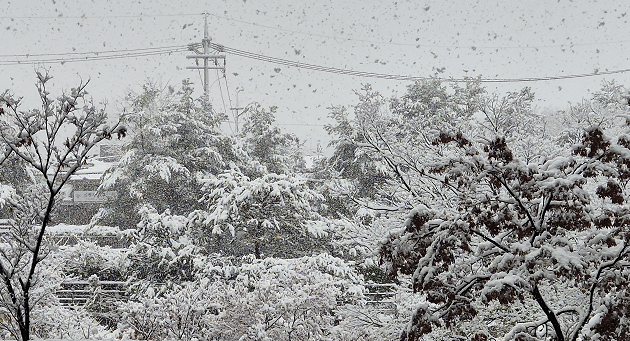 [빙판길 사고예방] 블랙아이스 미끄러짐 사고