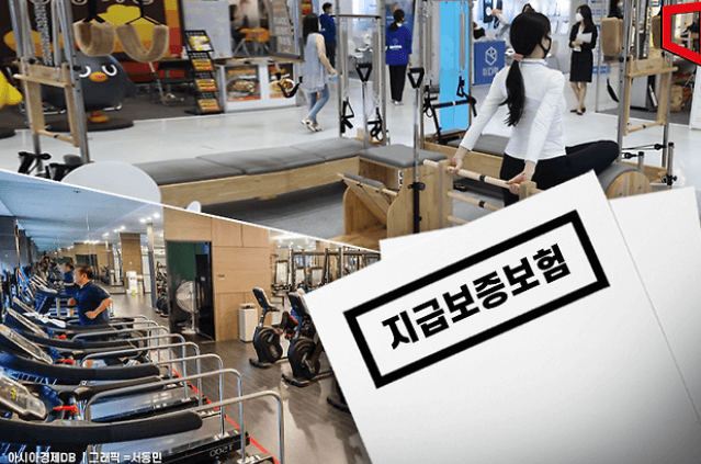 피해사례