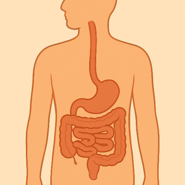 항문 피 - 염증성 장 질환, 크론병, 궤양성 대장염