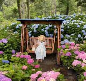 전라도 수국명소 추천 7곳, 수국이 만개한 아름다운 여름을 걷다