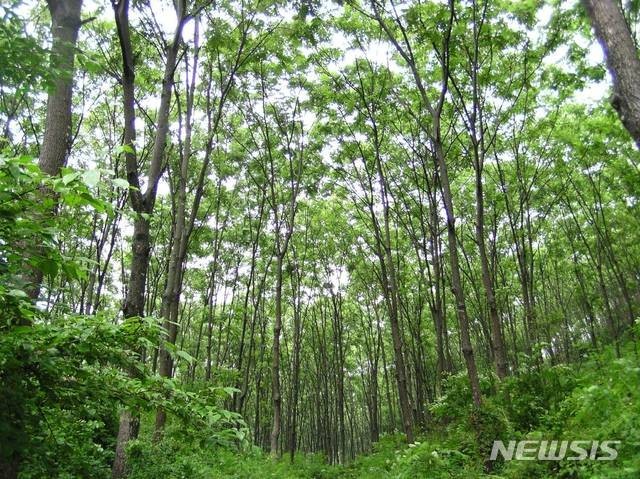 임업직불금