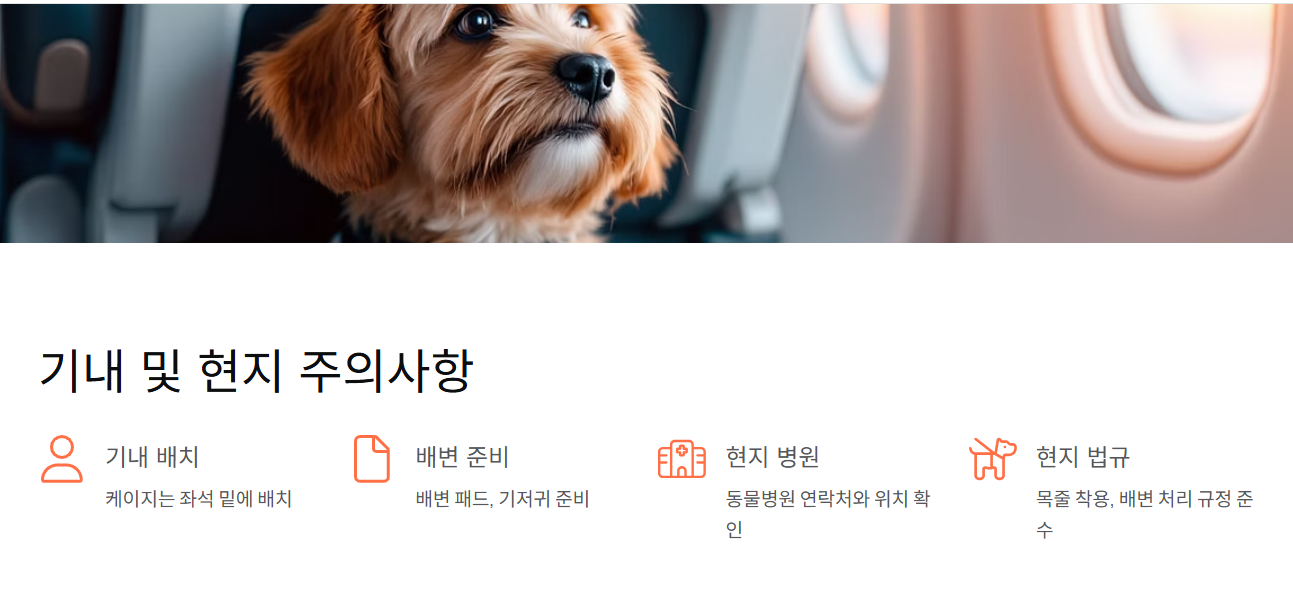 기내 및 현지 주의사항