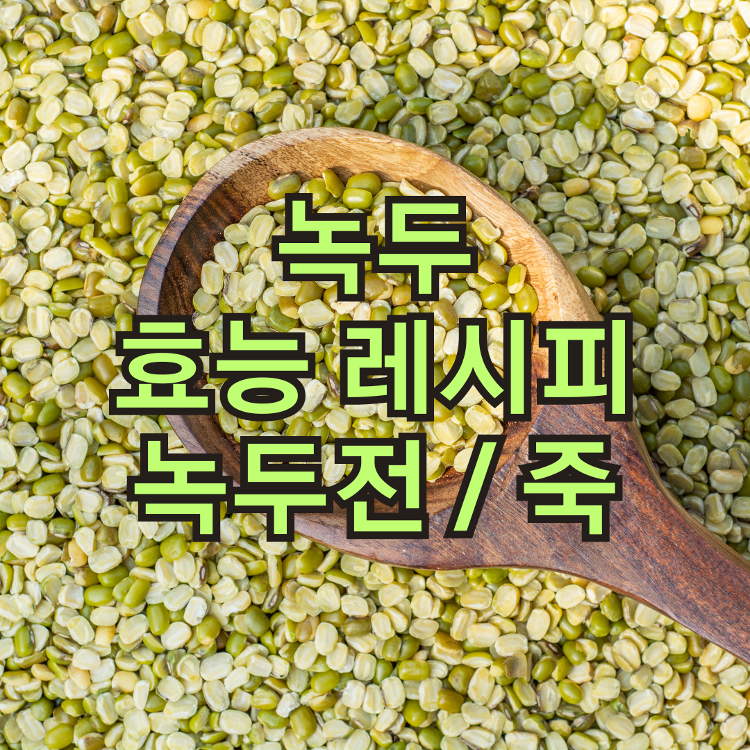 녹두 효능과 부작용, 녹두전 녹두죽 만드는 방법 레시피 공유