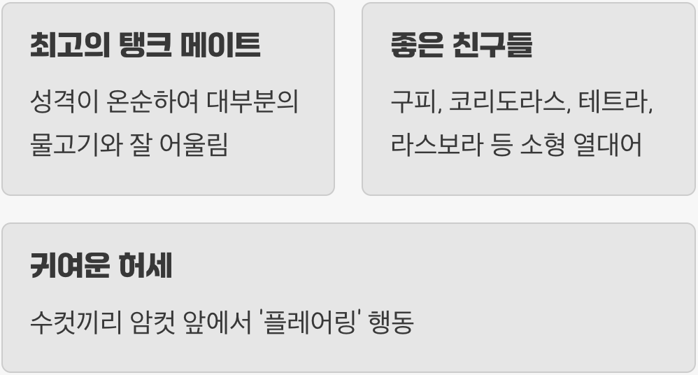 합사 - 평화를 사랑하는 '순둥이'