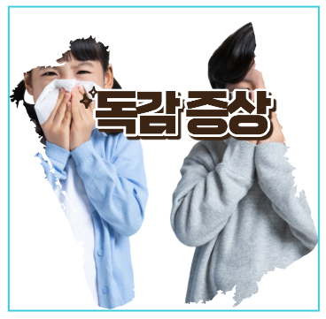 독감증상