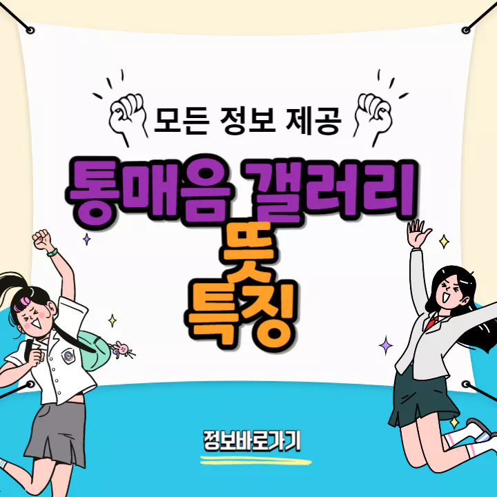 통매음-갤러리-뜻-및-특징