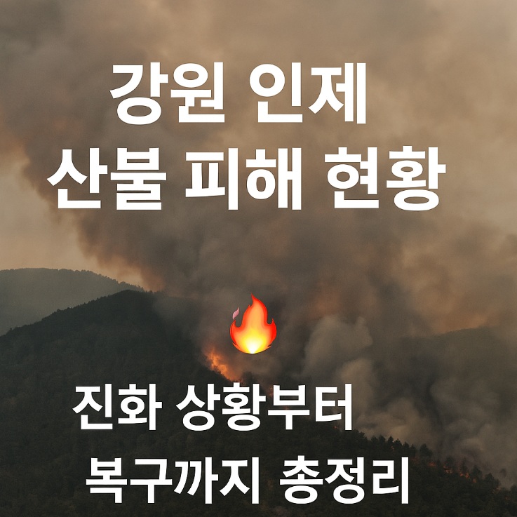 인제 산불 피해 현황