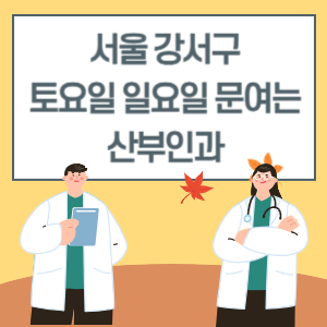 서울 강서구 토요일 일요일 산부인과 진료 병원