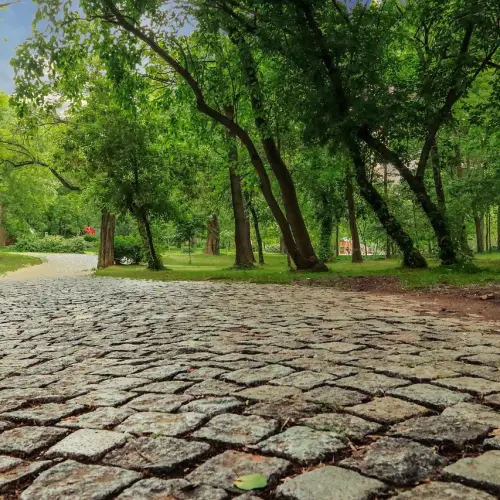 조경기능사 자격증 시험일정