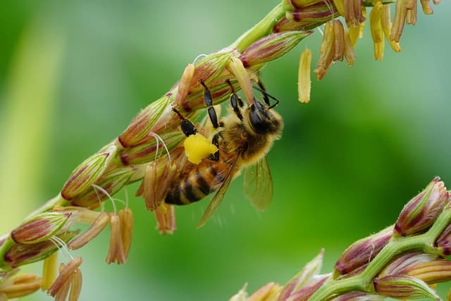 산업별 그린위싱 사례 분석: 소비자가 반드시 알아야 할 오해와 진실