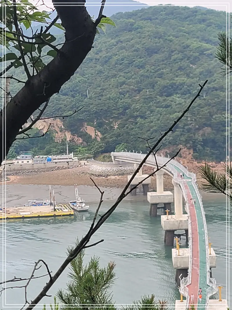 소무의도-둘레길20250714_124631