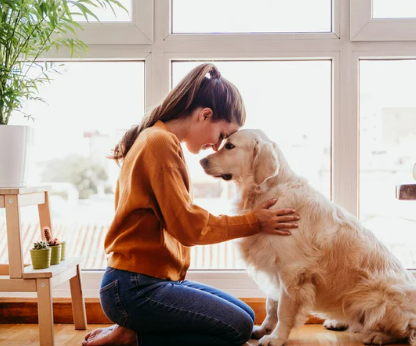 강아지 사람 좋아하는 이유, 유전자 변형 때문이라고?!