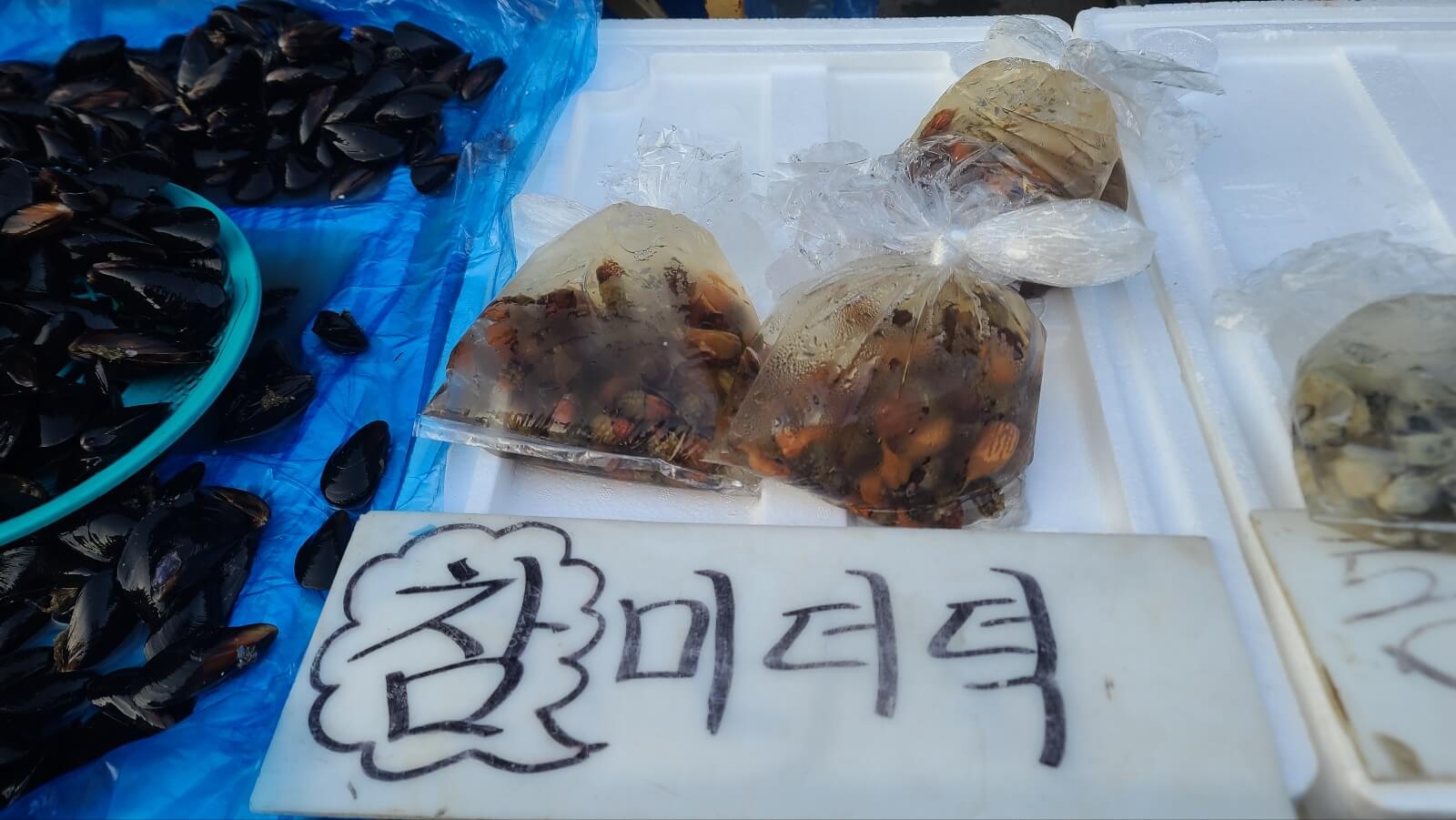 어패류13
