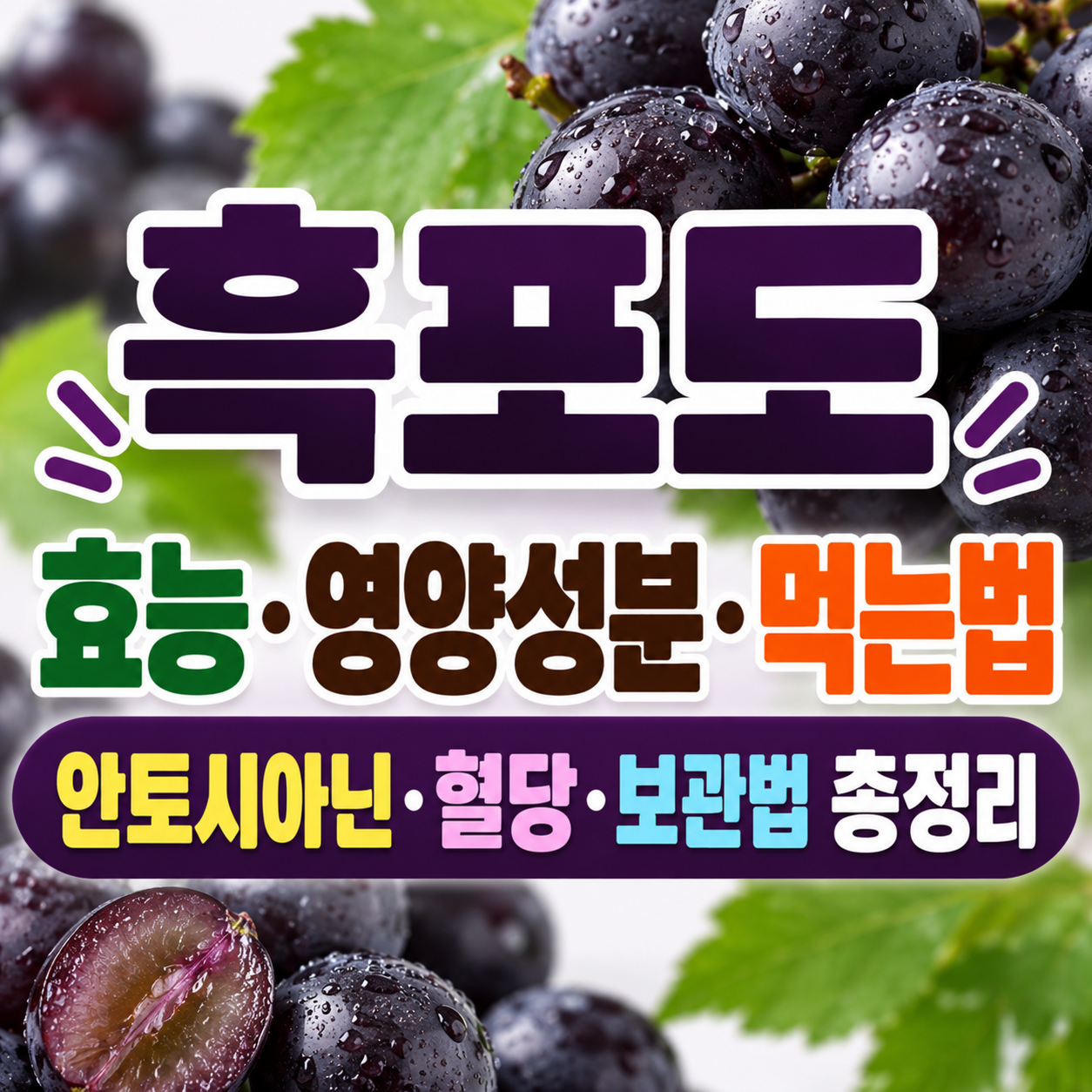 흑포도 효능