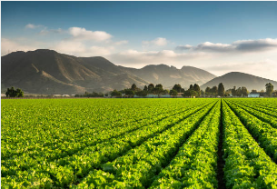 농어민수당 신청