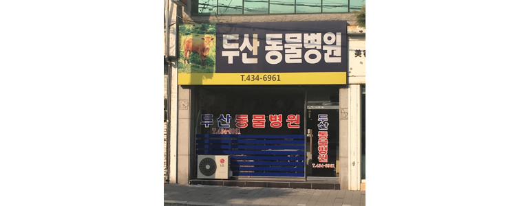 김천시 동물병원