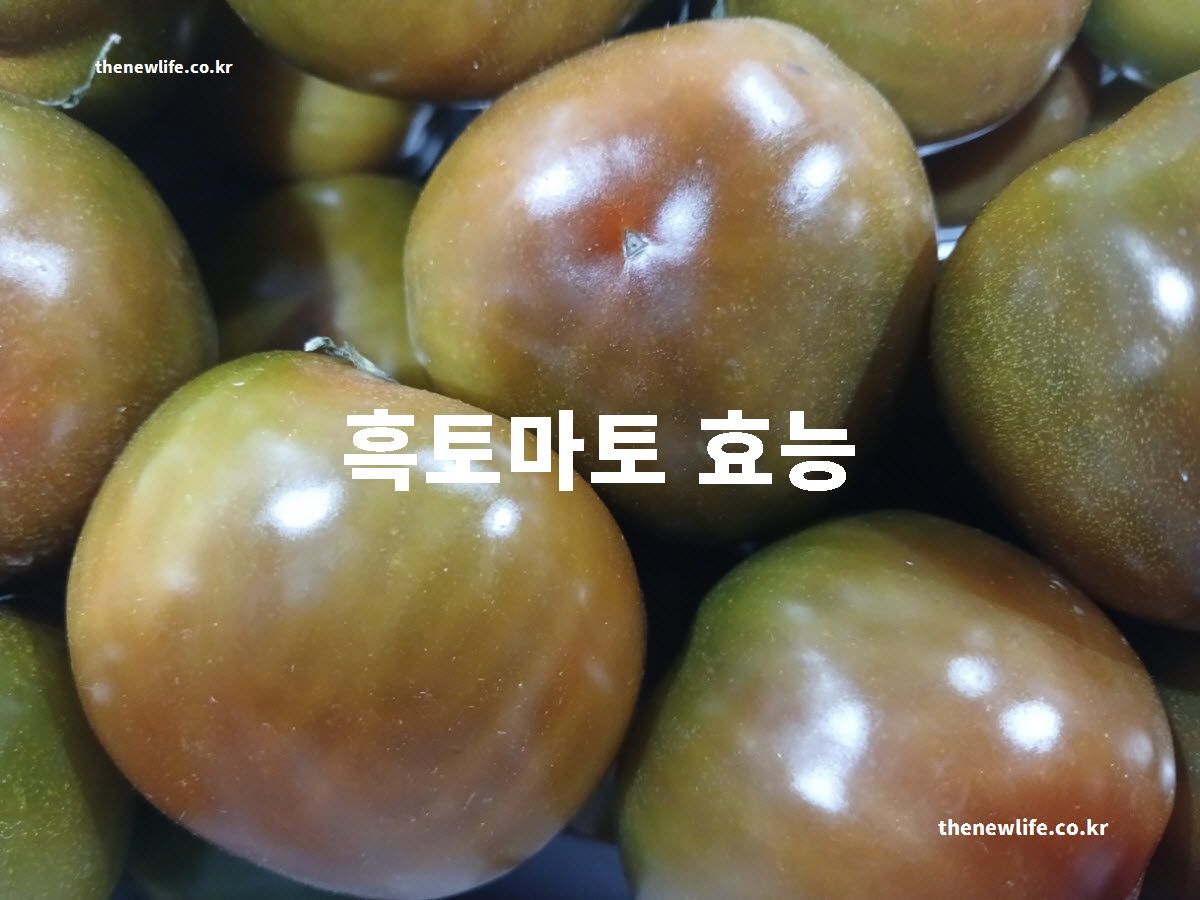 흑토마토 효능 대표 실사진