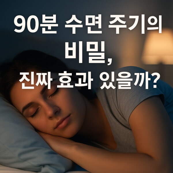 90분 수면 주기의 비밀/gpt