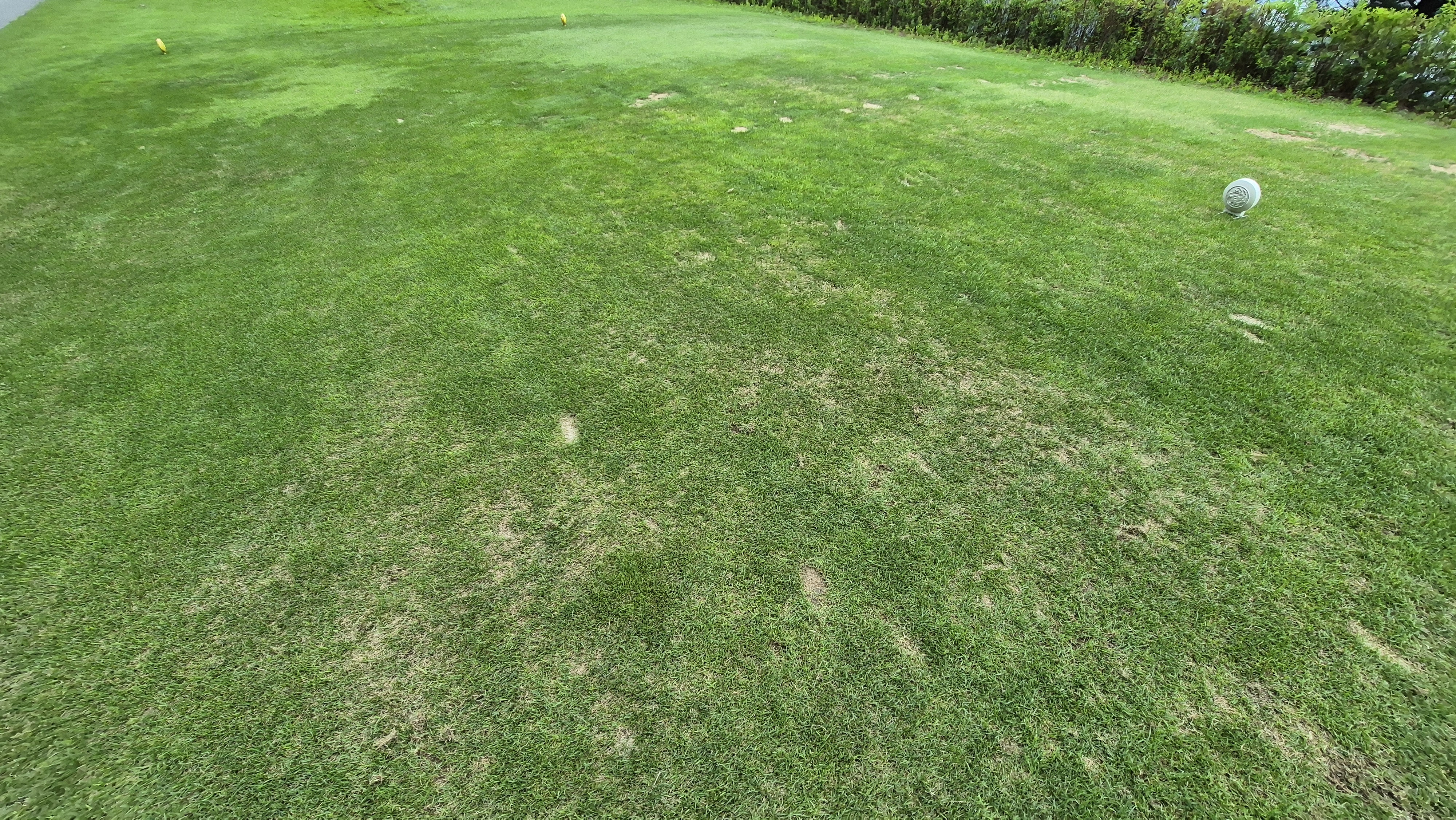 참밸리cc 라운드 후기