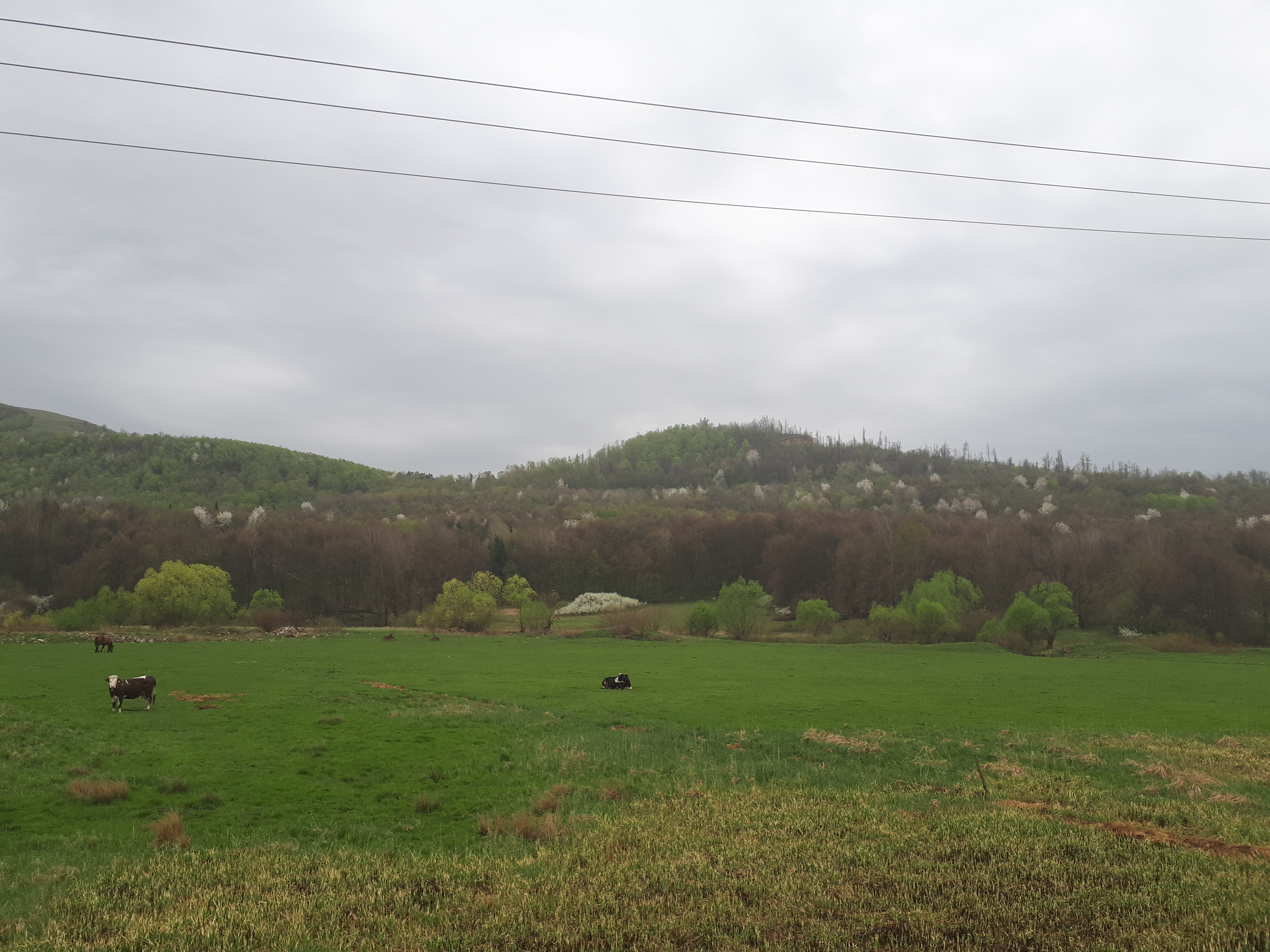 루마니아 상크라이우 자연