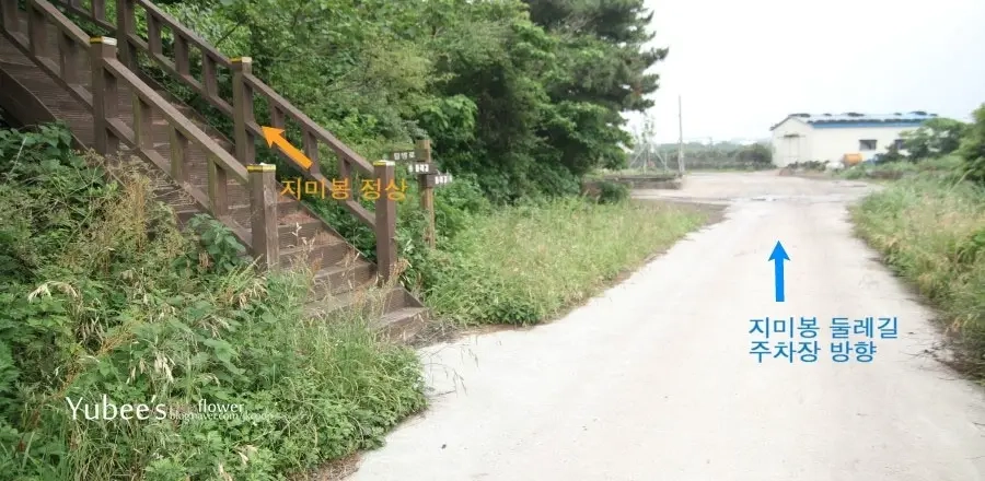 지미봉 둘레길에서 정상으로 가는 길