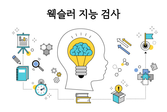 경계선 지능장애 웩슬러 지능 검사