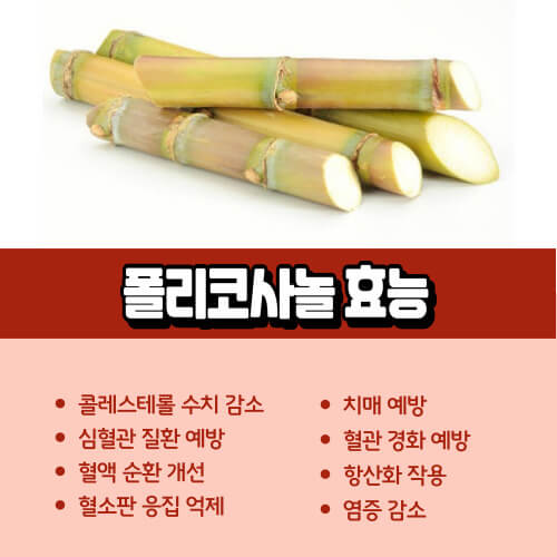 폴리코사놀_효능