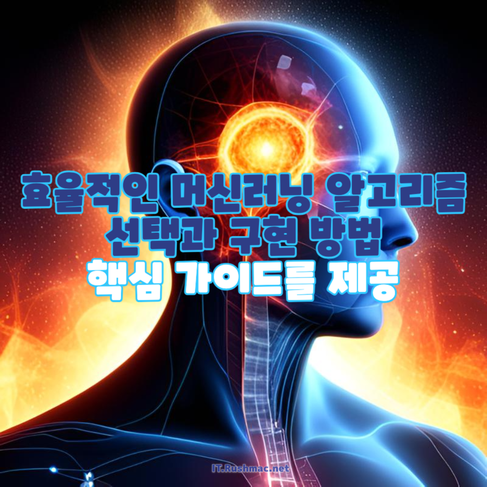 효율적인 머신러닝 알고리즘 선택