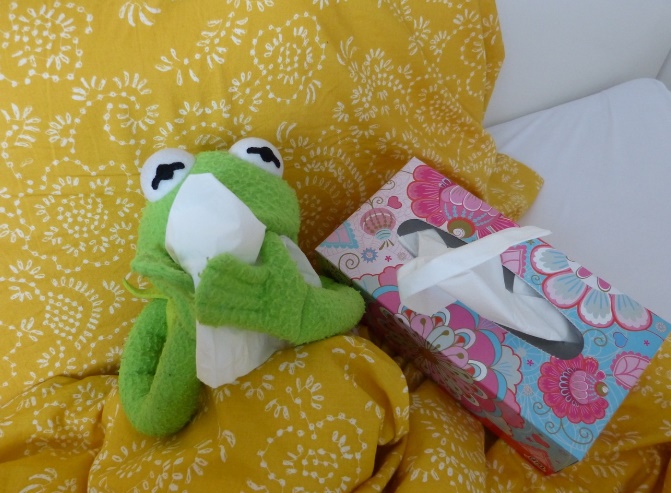 환절기 기침감기 와 면역력 관리법