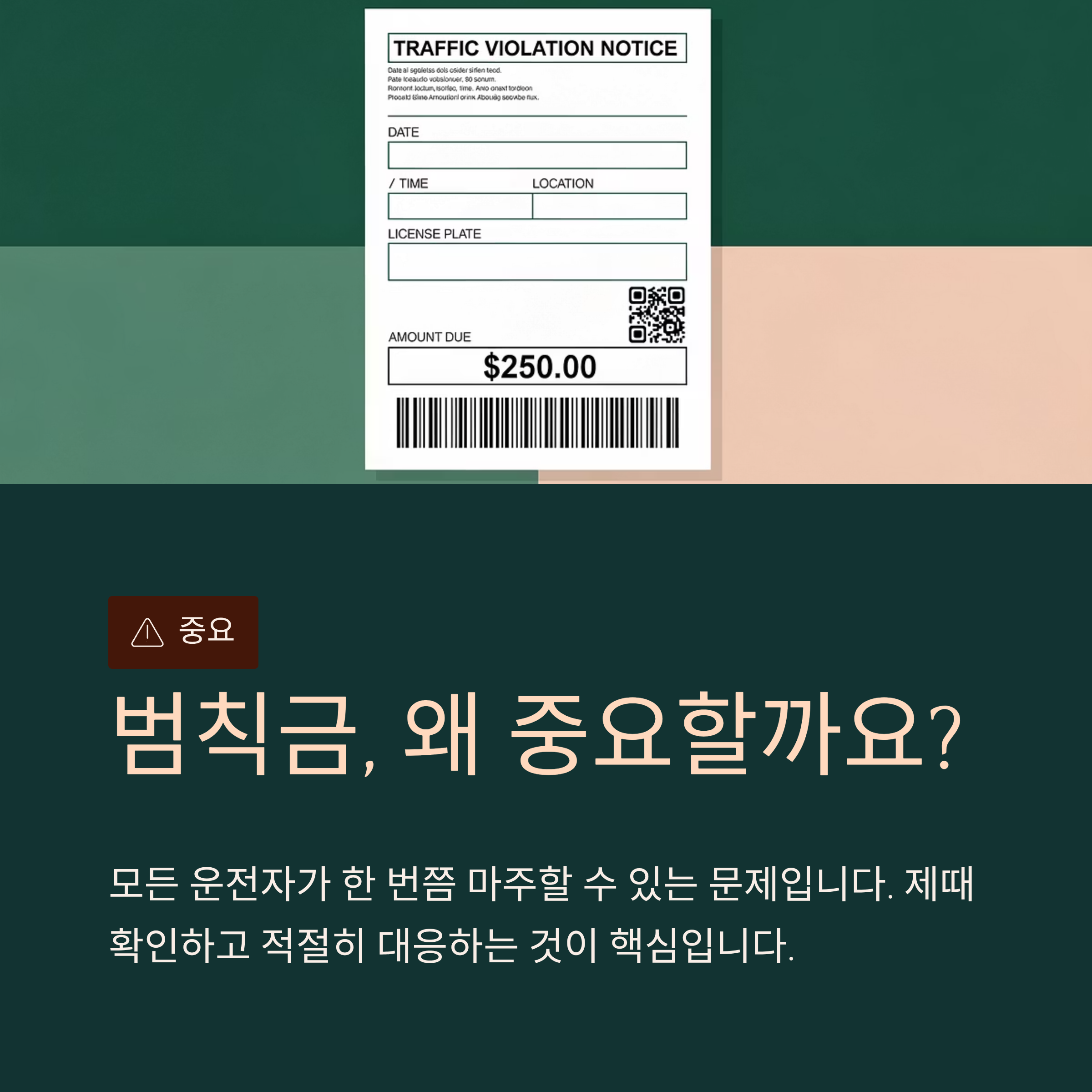 차량 범칙금 조회