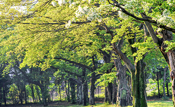 2025 광양전어축제가 한자리에! 