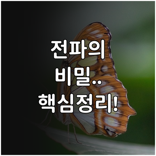 라디오와 이동통신 기지국 전파 방향성..