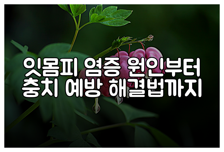 잇몸피 염증 원인부터 충치 예방 해결법까지