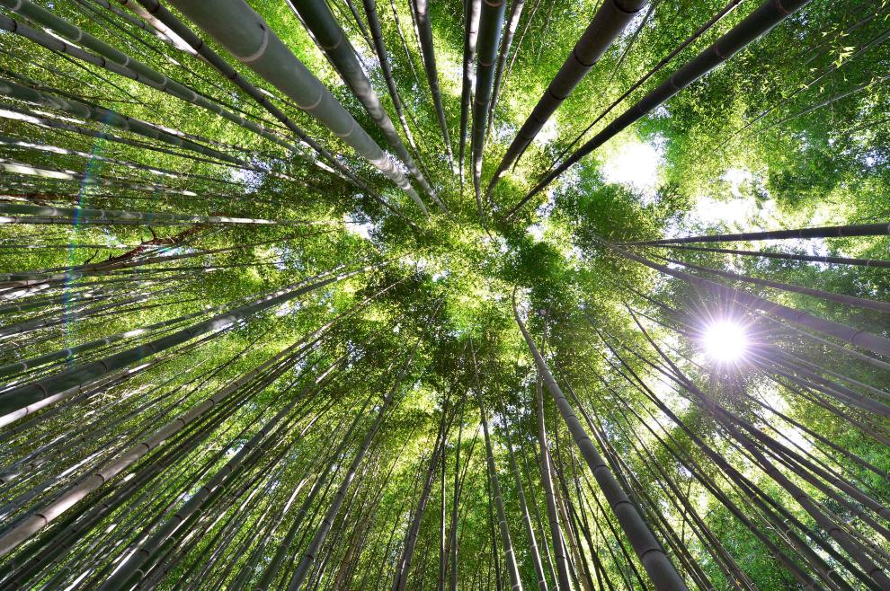 고창 가볼 만한 곳