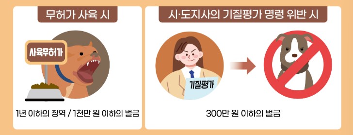 평가 및 조치