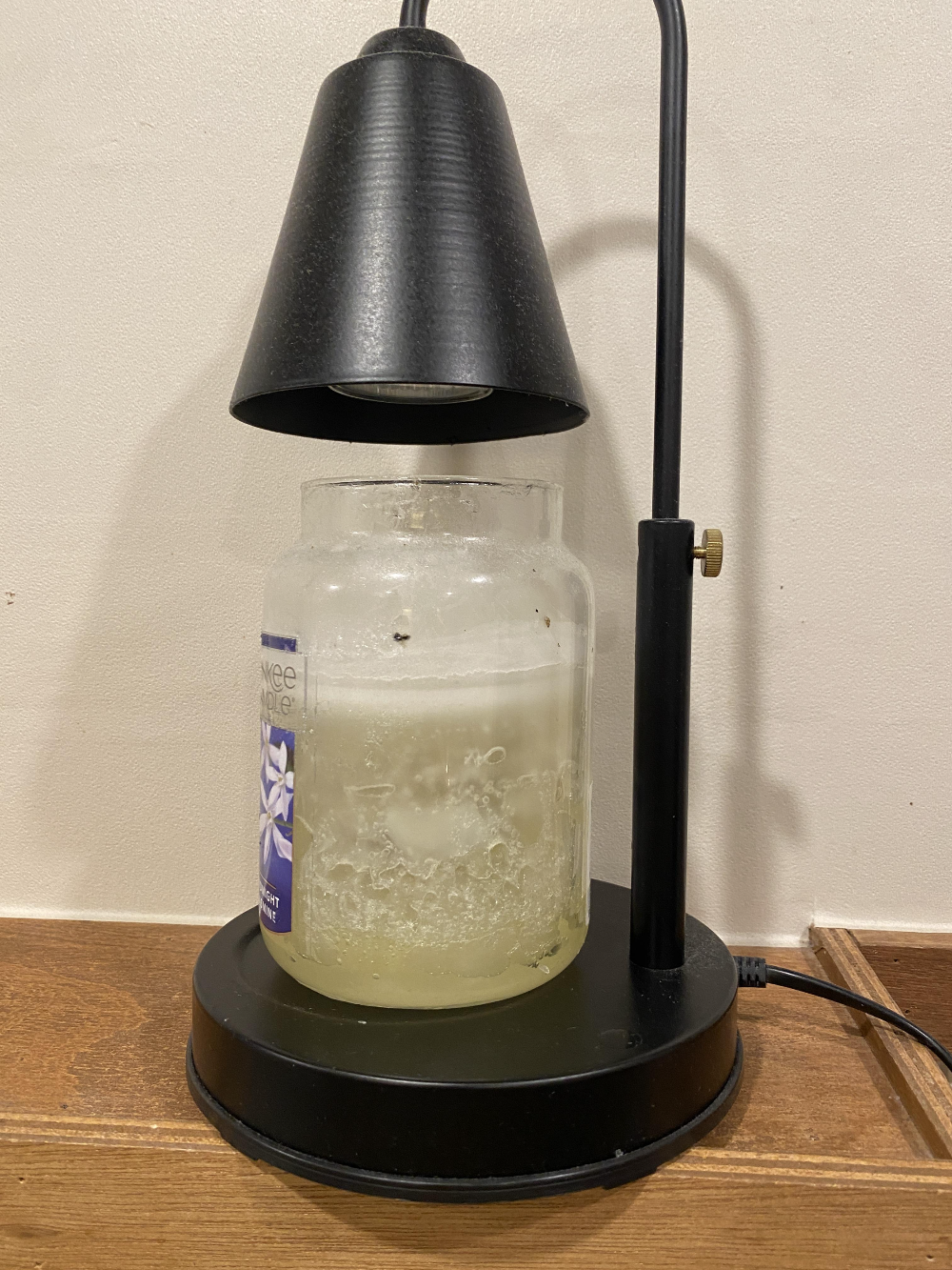 향초 안에 벌레