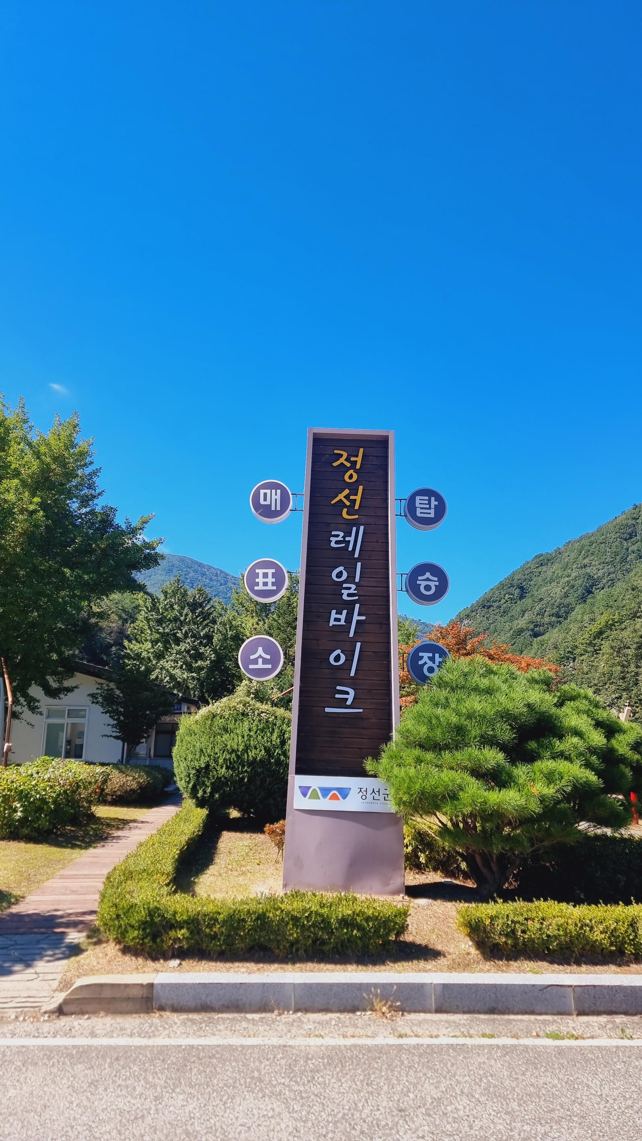 정선 맛집