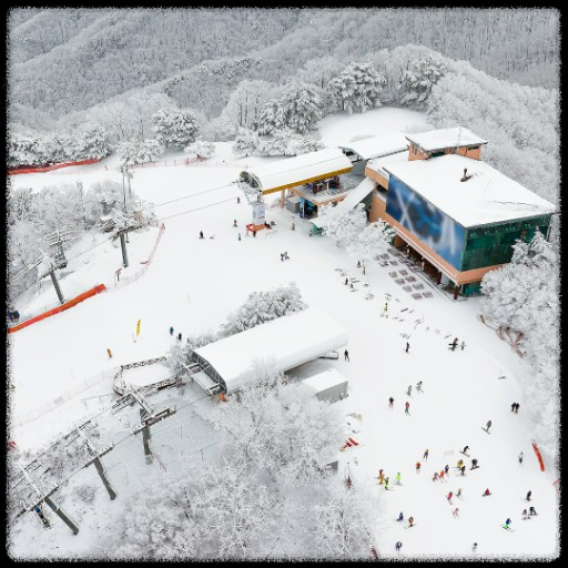  [2024 크리스마스] 가족과 평생 잊지 못할 추억 만들기!