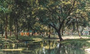 방콕 여행 추천 룸피니 공원