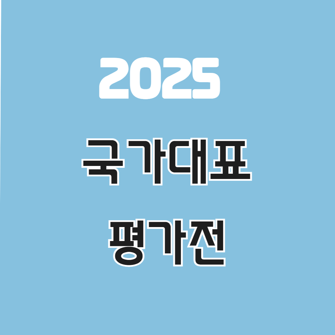 축구 국가대표 평가전